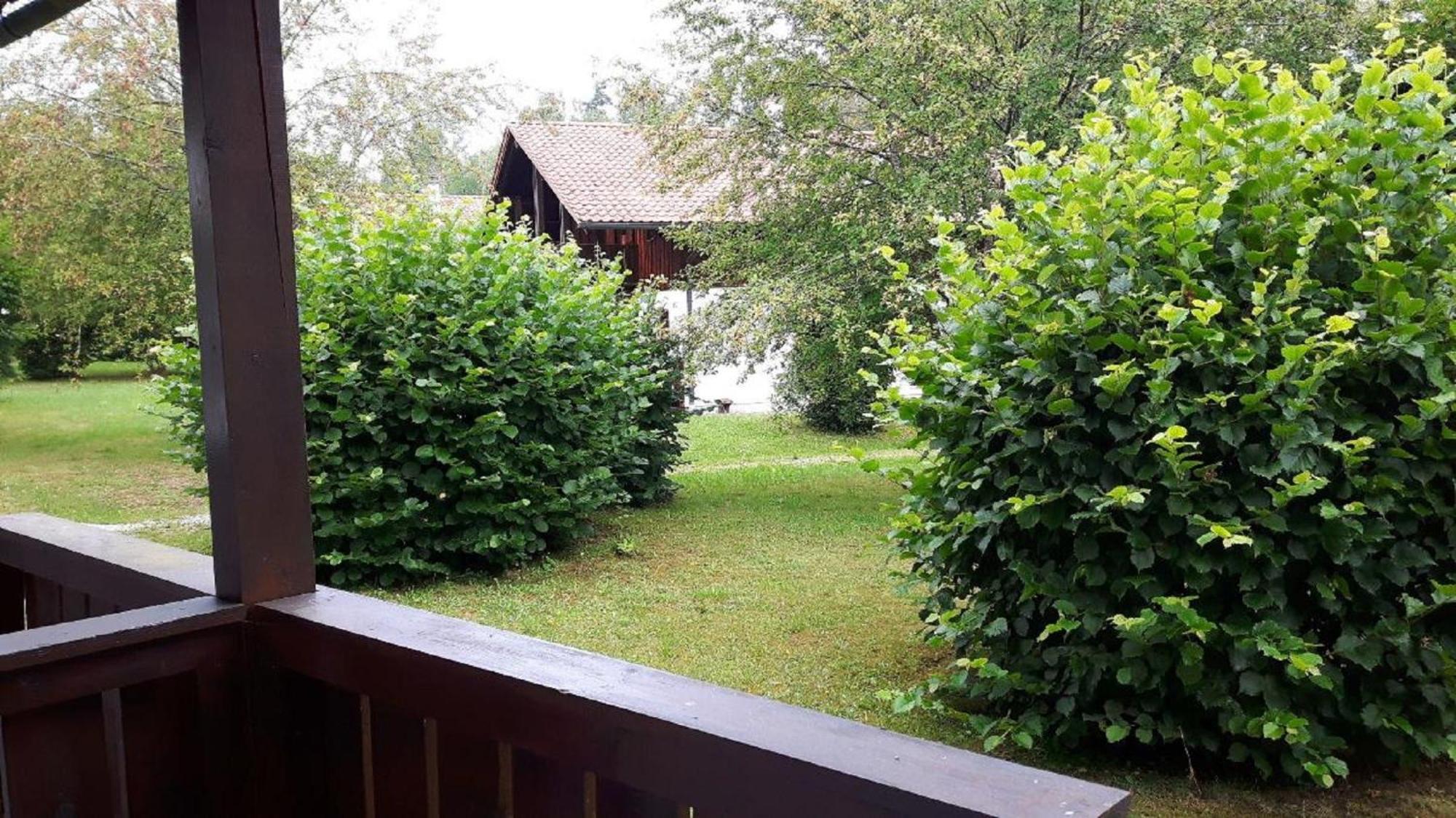 Ferienhaus Virzi - Waldferiendorf Regen Ngoại thất bức ảnh